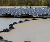 floating solar array with PV cable in the foreground